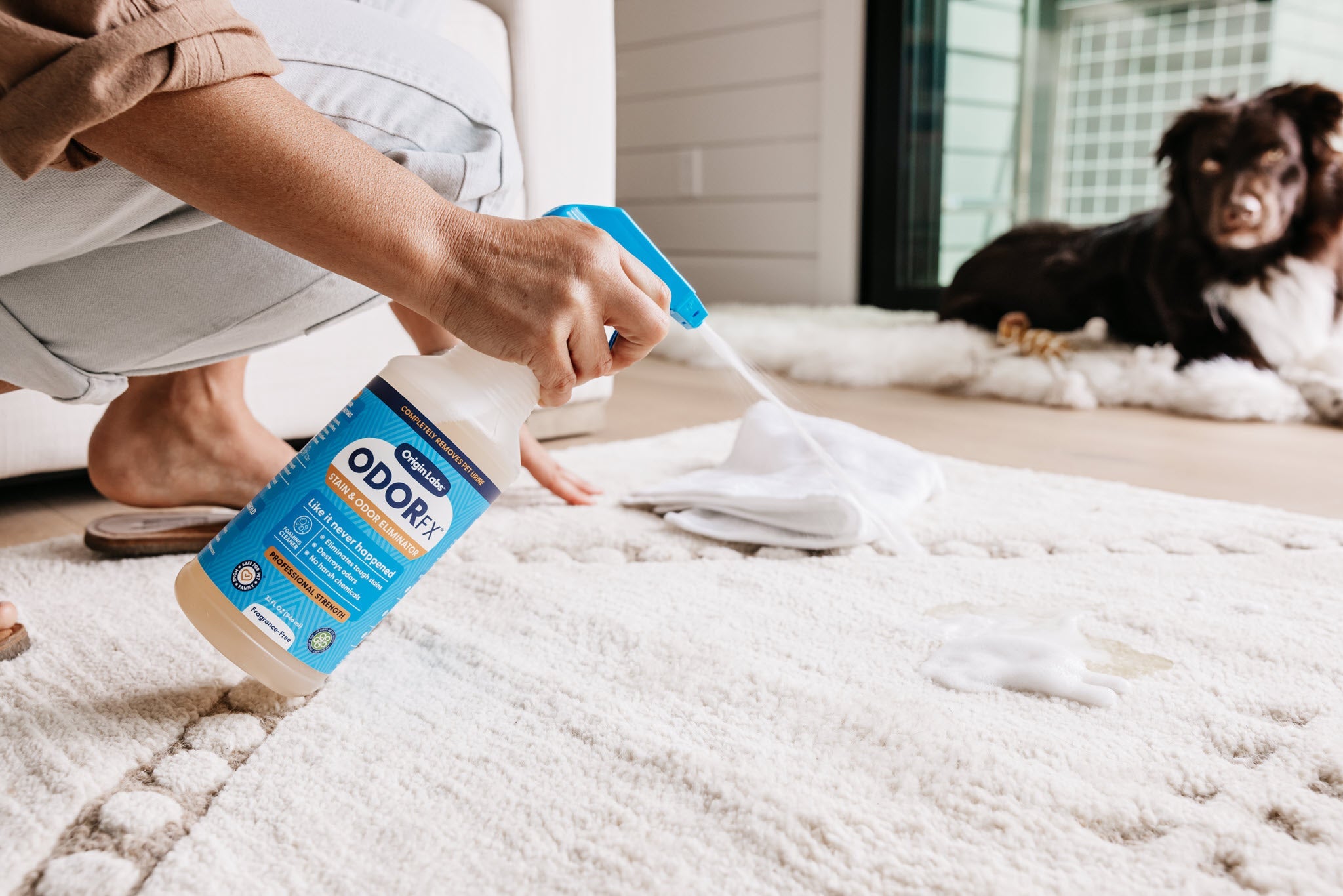 Best Way To Clean Pet Stains From Carpet