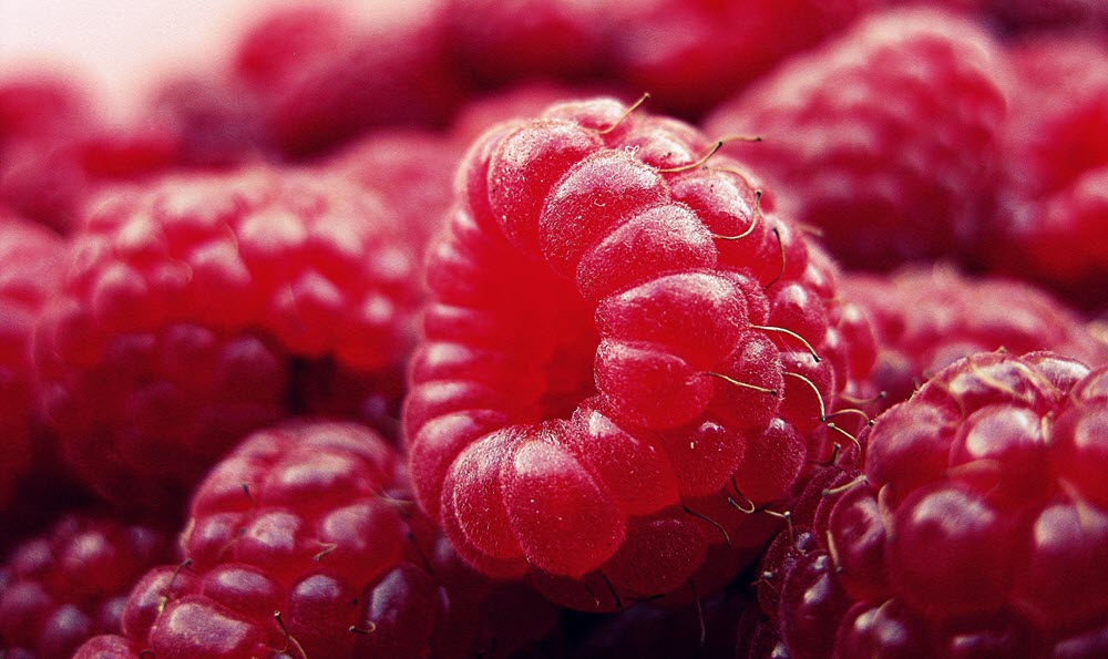 a bunch of raspberries