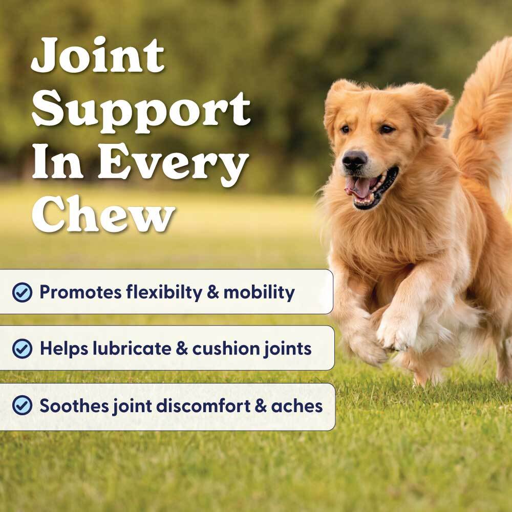 A jar of Origin Labs Allergy Immune supplements for dogs with a 25% off promotion.